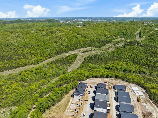 30 David Shawn Drive Lot 171, Indian Point, MO 65616