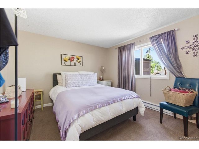 515 Driftwood Ave 1, Estes Park, CO 80517