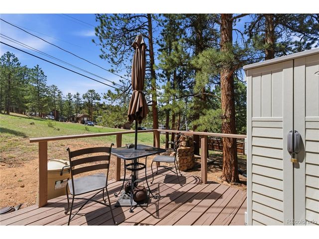 515 Driftwood Ave 1, Estes Park, CO 80517