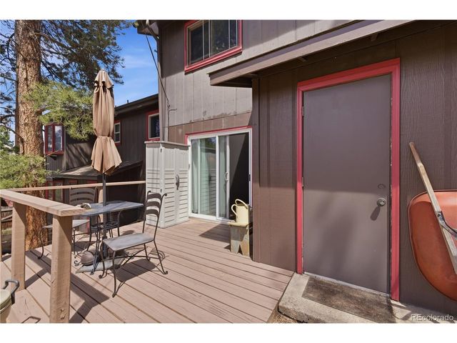 515 Driftwood Ave 1, Estes Park, CO 80517