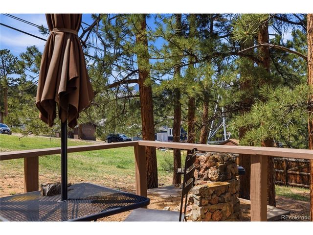 515 Driftwood Ave 1, Estes Park, CO 80517