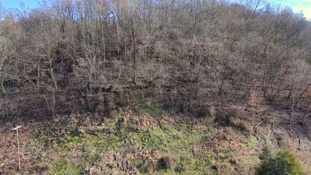 0 Lawrenceburg Hwy, Mount Pleasant, TN 38474