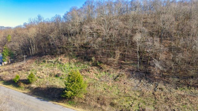 0 Lawrenceburg Hwy, Mount Pleasant, TN 38474
