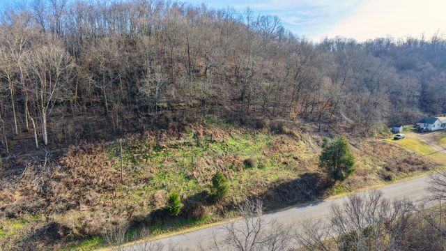 0 Lawrenceburg Hwy, Mount Pleasant, TN 38474