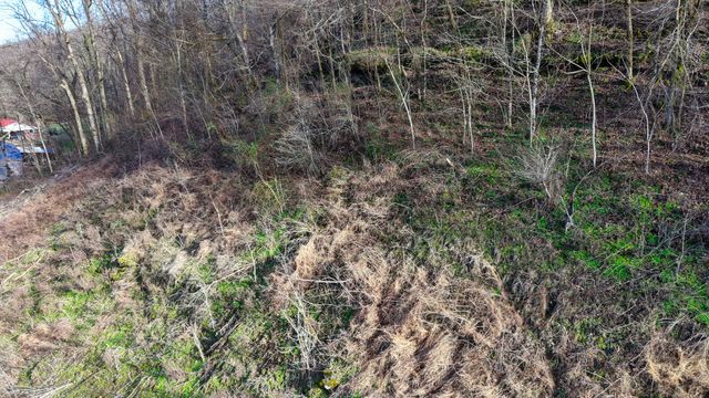 0 Lawrenceburg Hwy, Mount Pleasant, TN 38474