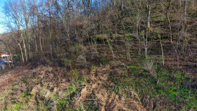 0 Lawrenceburg Hwy, Mount Pleasant, TN 38474