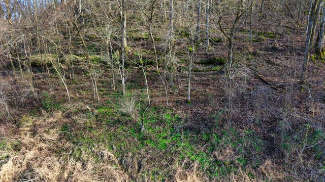 0 Lawrenceburg Hwy, Mount Pleasant, TN 38474