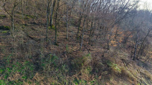 0 Lawrenceburg Hwy, Mount Pleasant, TN 38474