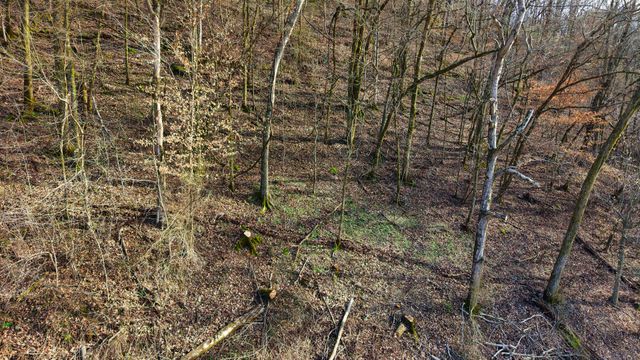 0 Lawrenceburg Hwy, Mount Pleasant, TN 38474