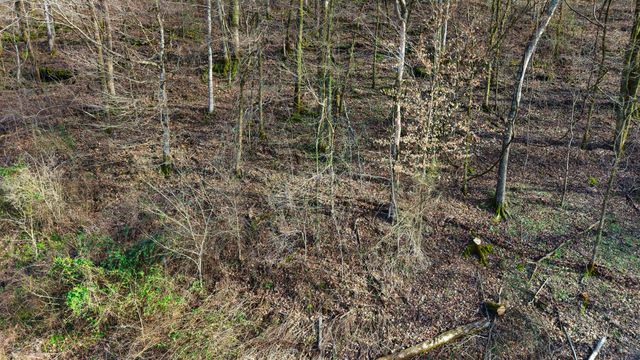 0 Lawrenceburg Hwy, Mount Pleasant, TN 38474