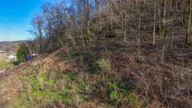 0 Lawrenceburg Hwy, Mount Pleasant, TN 38474