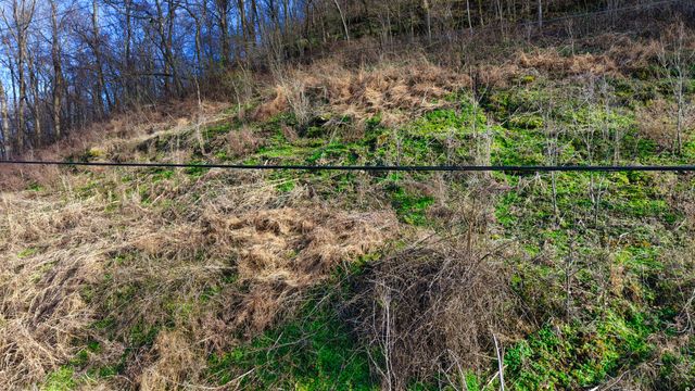 0 Lawrenceburg Hwy, Mount Pleasant, TN 38474