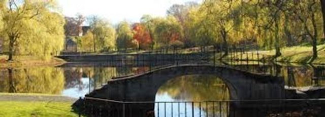 175 High Street 2-P, Brookline, MA 02445