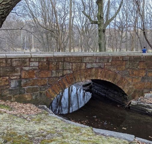 175 High Street 2-P, Brookline, MA 02445