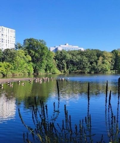 175 High Street 2-P, Brookline, MA 02445