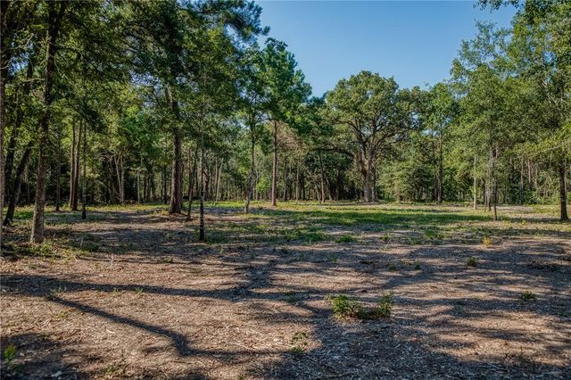 31801 Reids Prairie Road, Waller, TX 77484