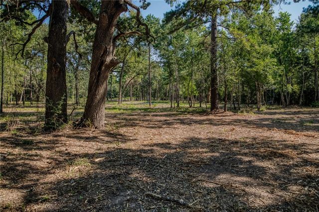 31801 Reids Prairie Road, Waller, TX 77484