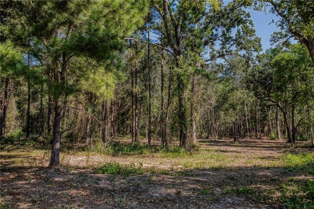 31801 Reids Prairie Road, Waller, TX 77484