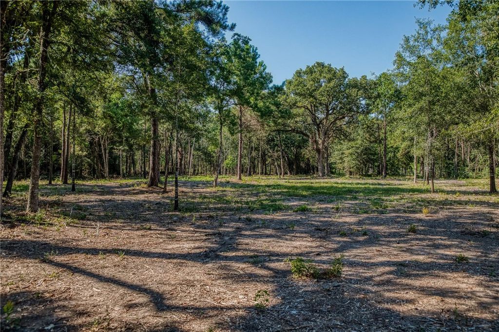 31801 Reids Prairie Road, Waller, TX 77484 — photo 4