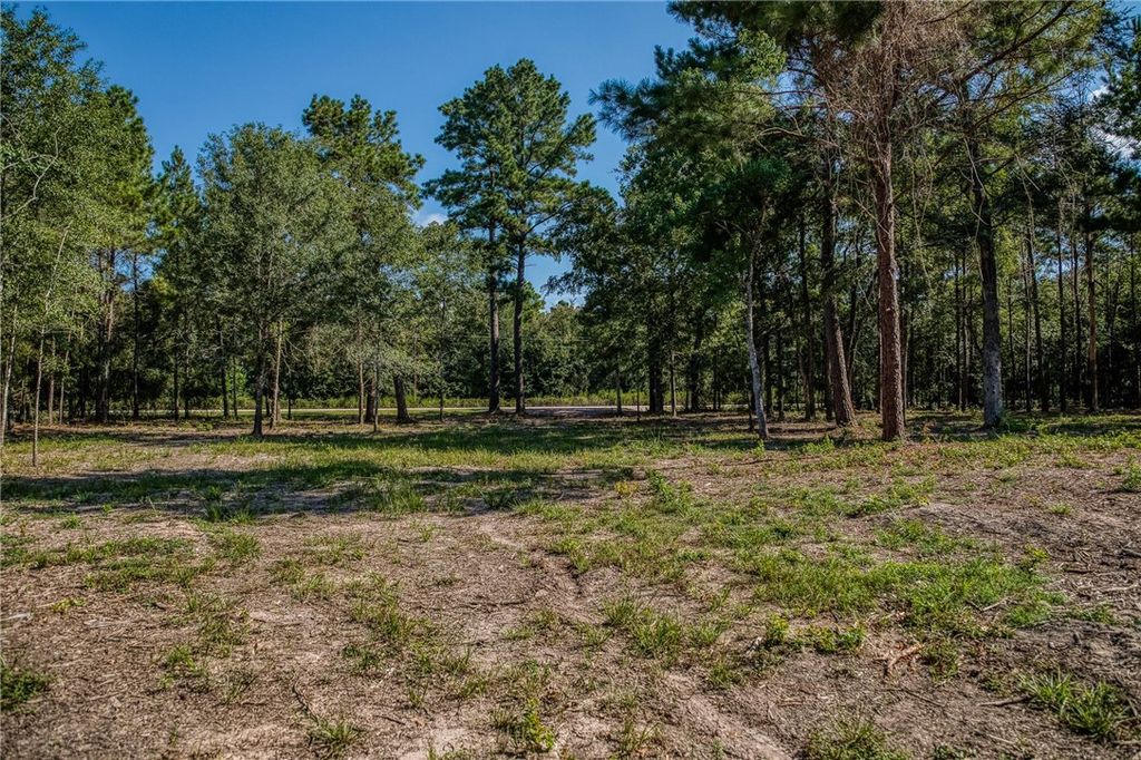 31801 Reids Prairie Road, Waller, TX 77484 — photo 5