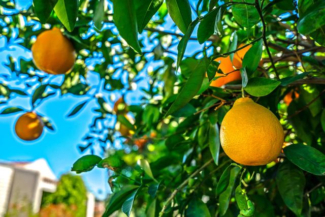 45884 Algonquin Circle, Indian Wells, CA 92210