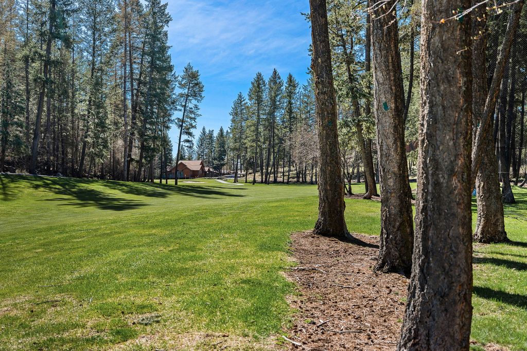 175 A Eagle Bend Drive, Bigfork, MT 59911 photo 4