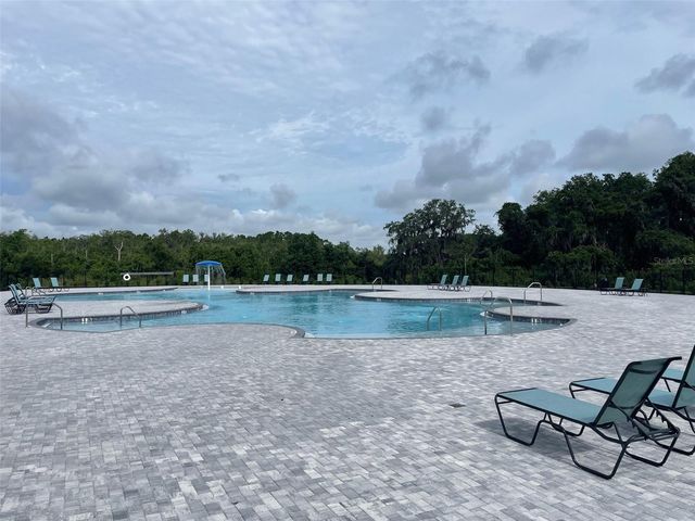 2330 BURNEY FALLS LANE, Davenport, FL 33837
