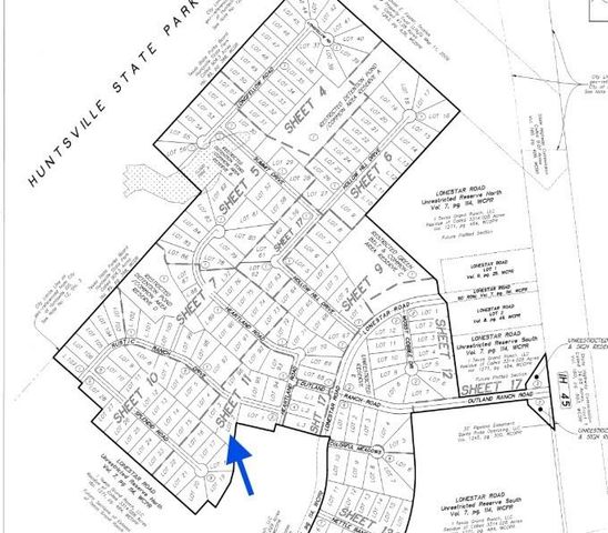 121 Rustic Ranch Drive, New Waverly, TX 77340