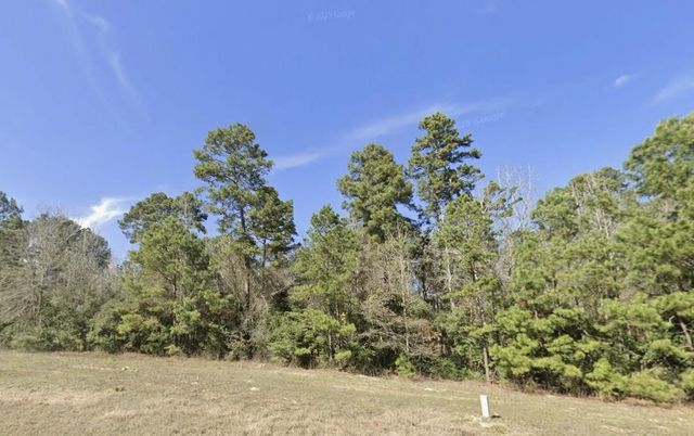 121 Rustic Ranch Drive, New Waverly, TX 77340
