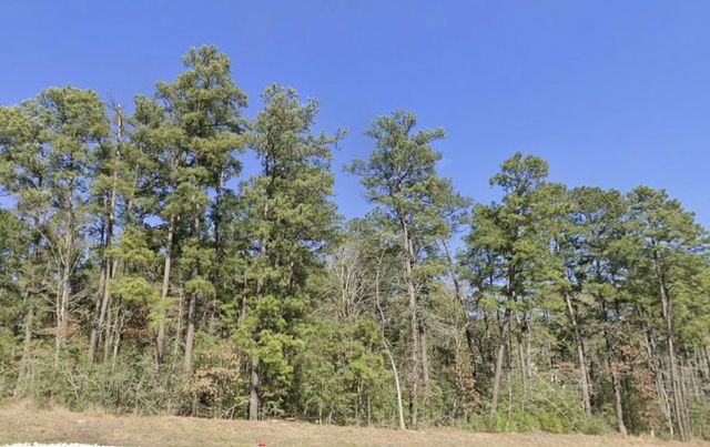 121 Rustic Ranch Drive, New Waverly, TX 77340