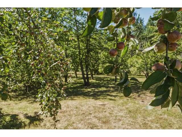 23173 Se HIGHWAY 212, Damascus, OR 97089