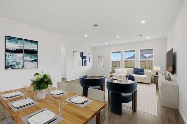 26703 Plain Glee Street, Hockley, TX 77447