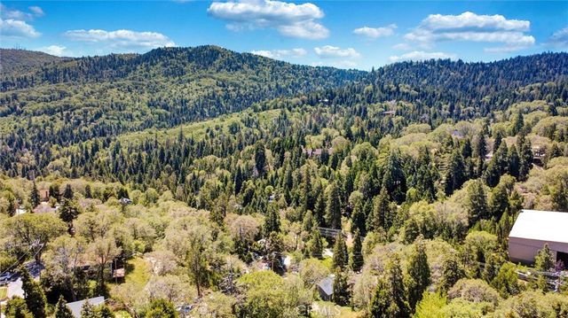 29219 Lyon Drive, Cedar Glen, CA 92321