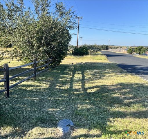 3941 Wells Drive, Kempner, TX 76539