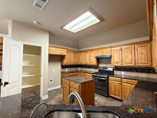 3941 Wells Drive, Kempner, TX 76539