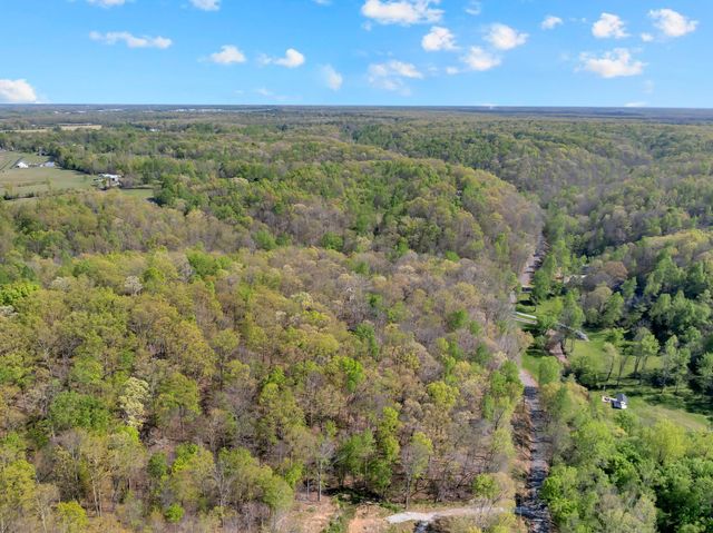 551 Shippmans Creek Rd, Wartrace, TN 37183