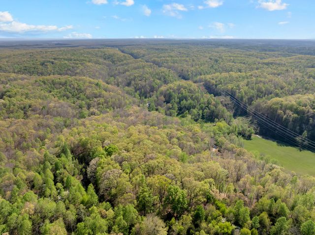 551 Shippmans Creek Rd, Wartrace, TN 37183