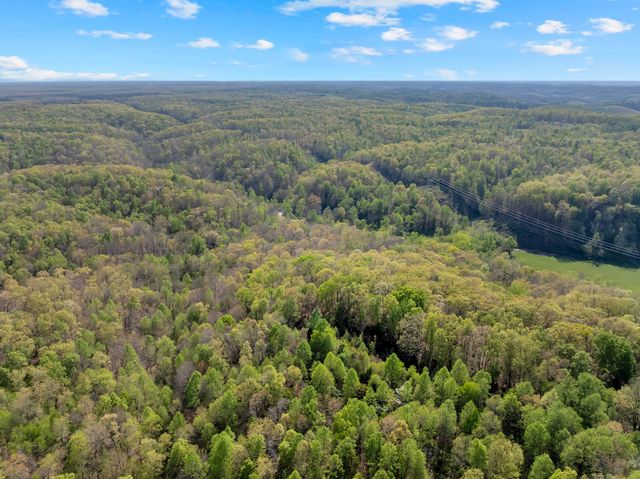 551 Shippmans Creek Rd, Wartrace, TN 37183
