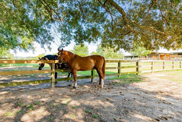 8728 Zippers Trail, Fairhope, AL 36532