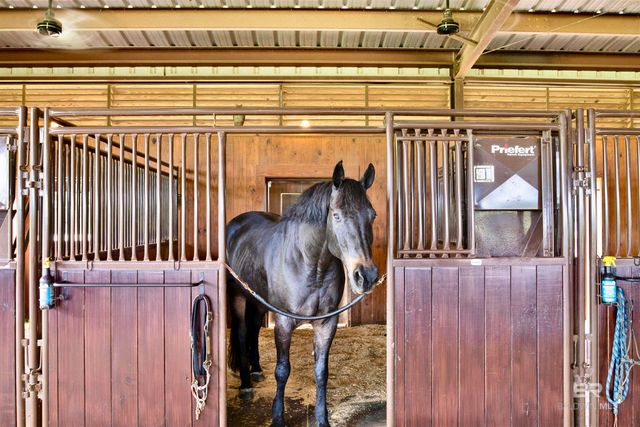 8728 Zippers Trail, Fairhope, AL 36532