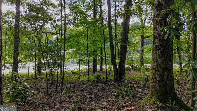 110 Handy Road, Newnan, GA 30263