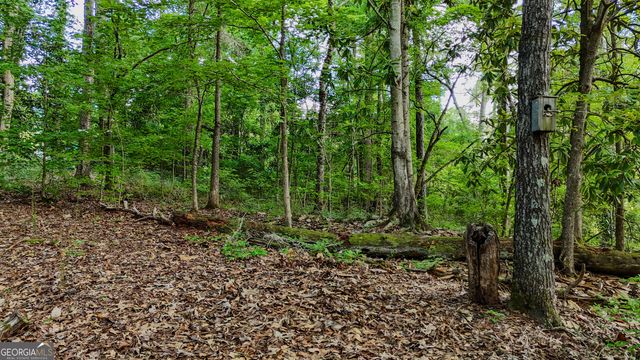 110 Handy Road, Newnan, GA 30263