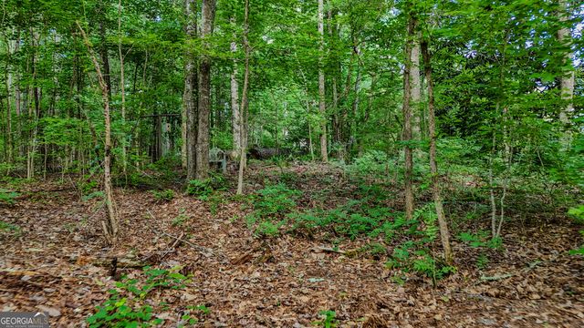 110 Handy Road, Newnan, GA 30263