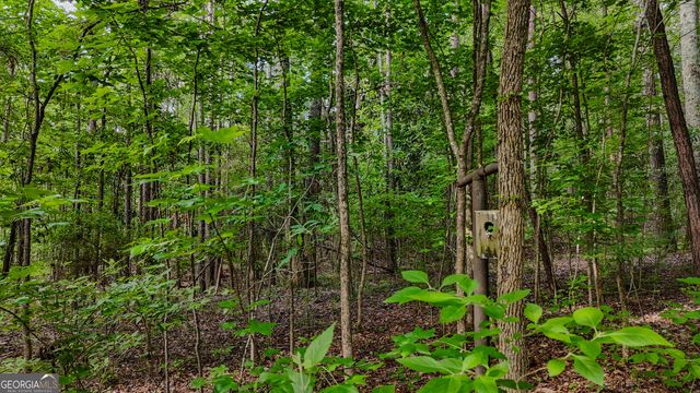 110 Handy Road, Newnan, GA 30263