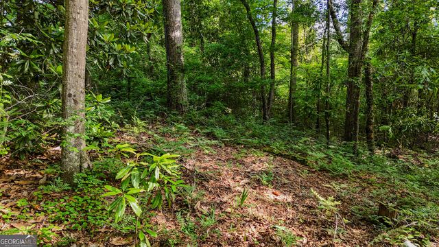 110 Handy Road, Newnan, GA 30263