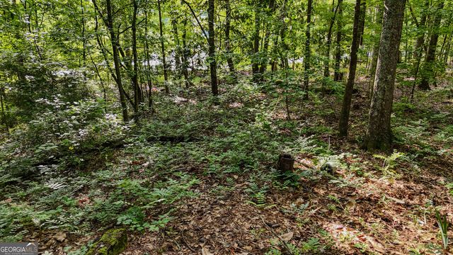 110 Handy Road, Newnan, GA 30263