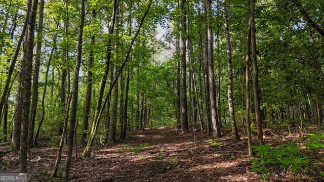 110 Handy Road, Newnan, GA 30263
