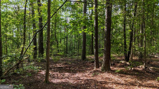 110 Handy Road, Newnan, GA 30263