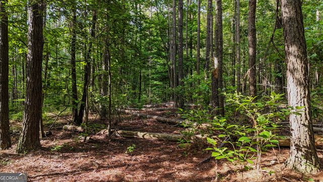 110 Handy Road, Newnan, GA 30263