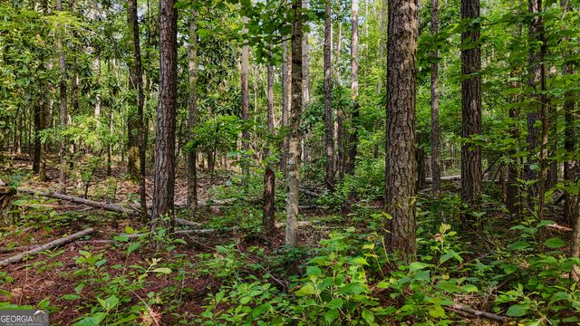 110 Handy Road, Newnan, GA 30263